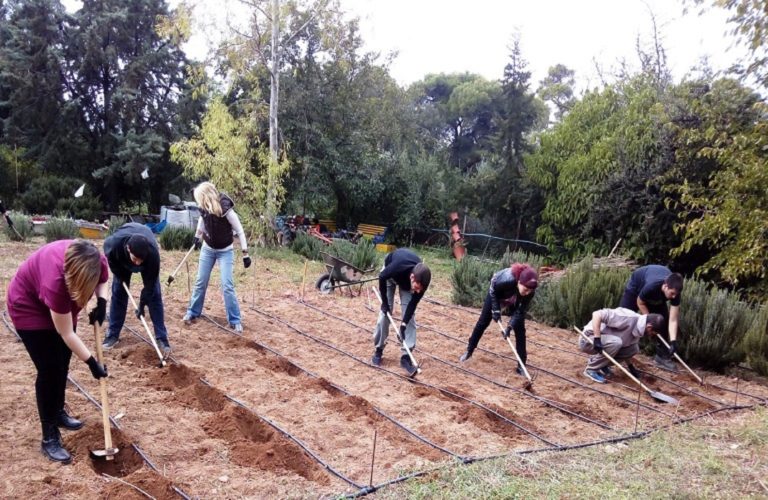 Αγροτικά ΙΕΚ του ΕΛΓΟ – ΔΗΜΗΤΡΑ: Λήγει σήμερα η προθεσμία για τις εγγραφές σπουδαστών (video)