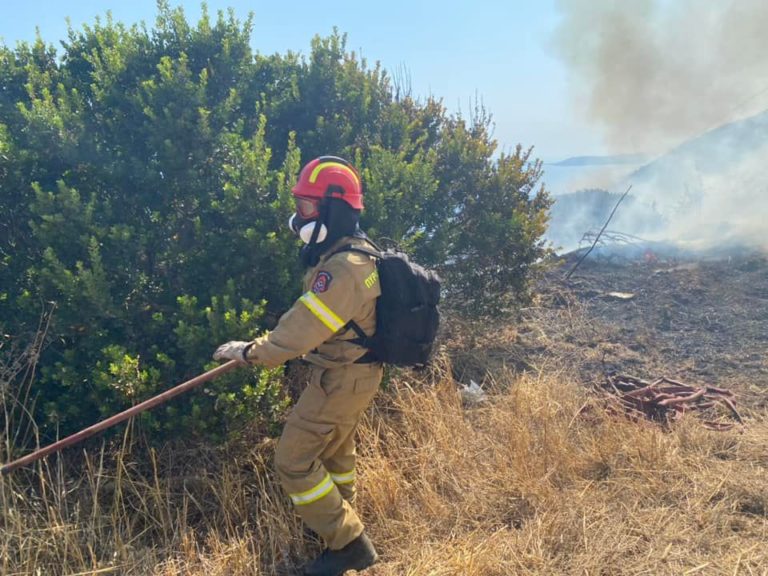 Μεσσηνία: Σύλληψη ενός άνδρα για τη φωτιά στη Φαλάνθη