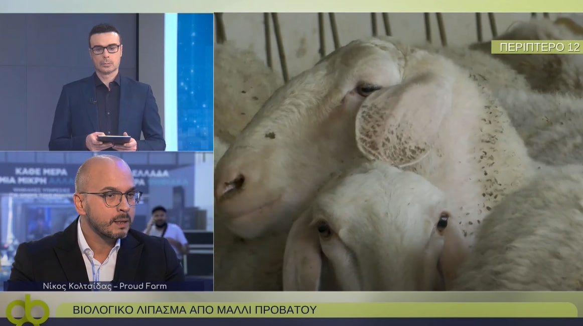 Οι Proud Farmers πρωτοπορούν με το βιολογικό λίπασμα από πρόβειο μαλλί