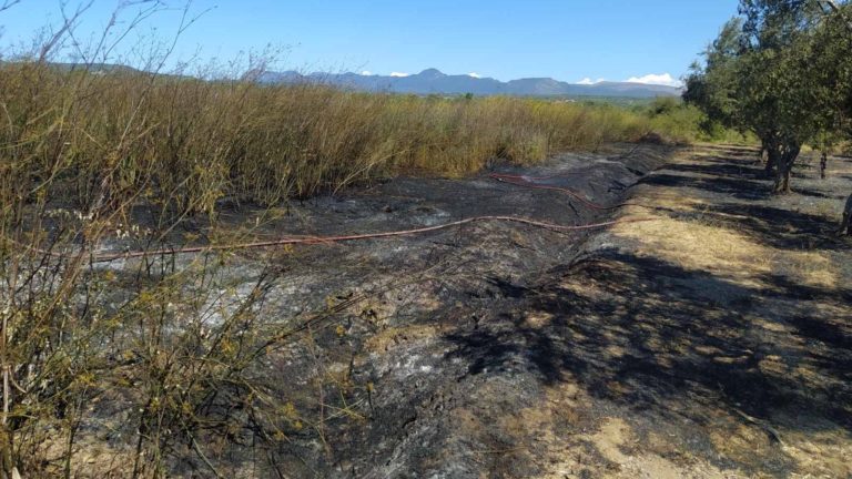 Μεσσηνία: Οριοθετήθηκε η πυρκαγιά σε γεωργική έκταση στο Πετροχώρι