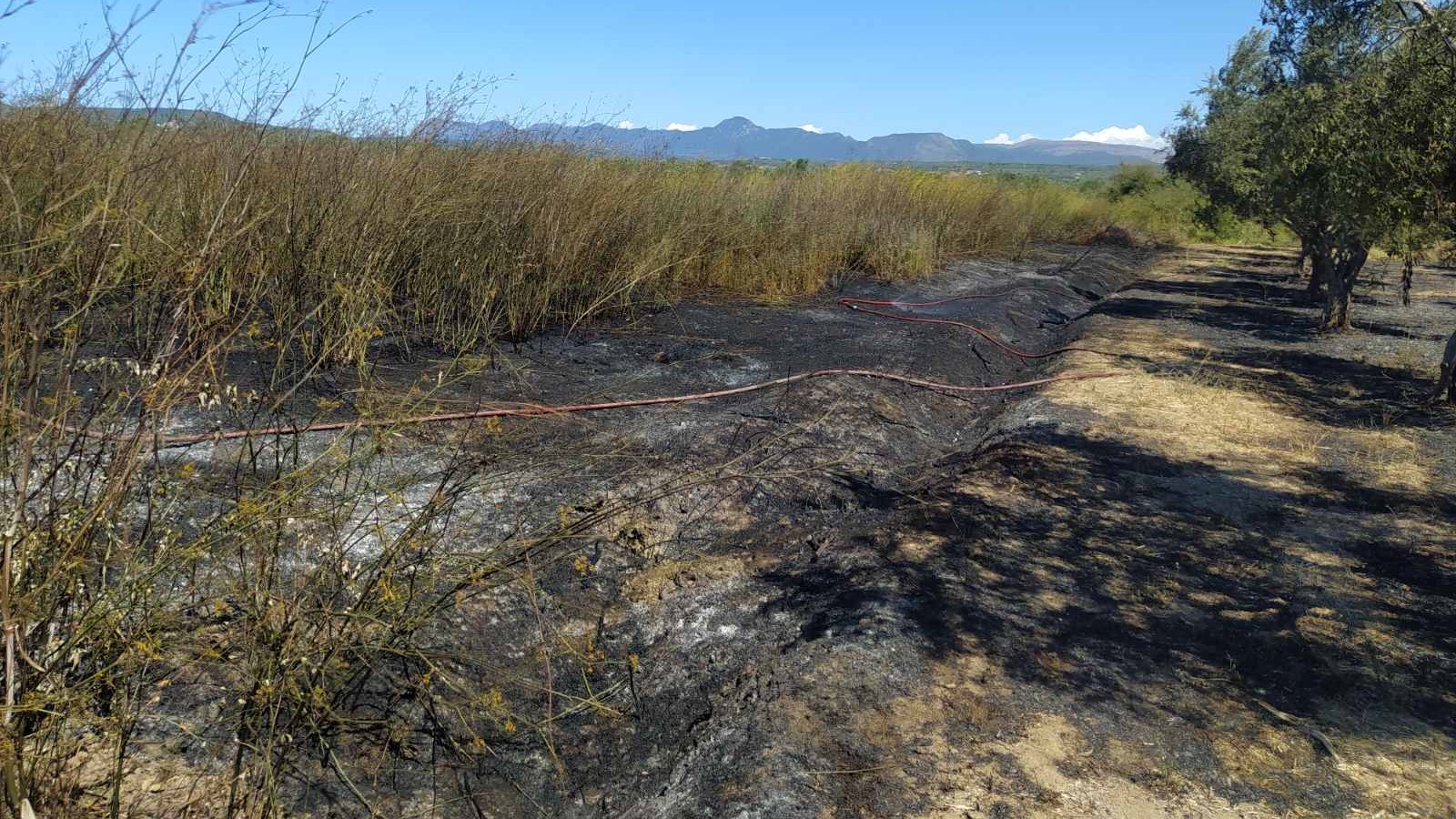 Μεσσηνία: Οριοθετήθηκε η πυρκαγιά σε γεωργική έκταση στο Πετροχώρι