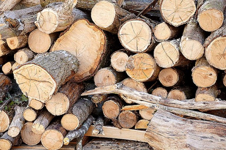 Κομοτηνή: Μετ’ εμποδίων η χορήγηση ξυλείας για θέρμανση λόγω ενστάσεων από προμηθευτές