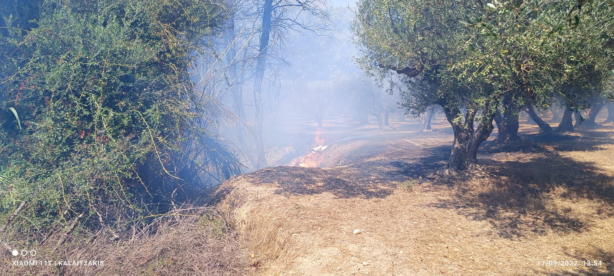 Υπό πλήρη έλεγχο η φωτιά σε ρεματιά στα Δελιανά του Δήμου Πλατανιά