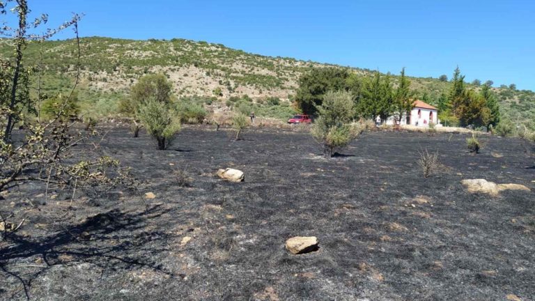 Μεσσηνία: Φωτιά στην περιοχή Τουλούπα Χάνι έκαψε 12 στρέμματα