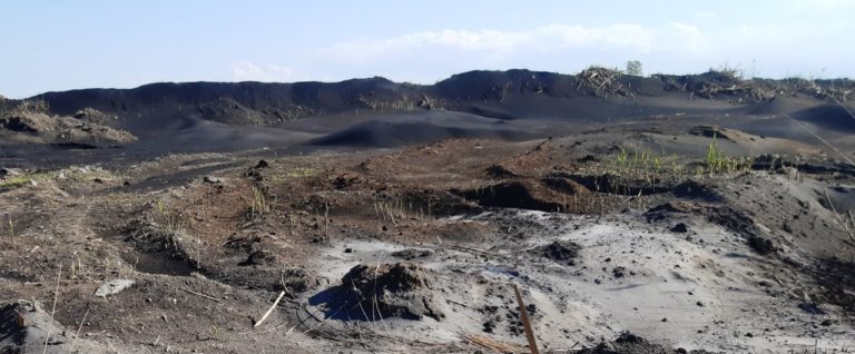 Θεσσαλονίκη: Παράνομη επιχείρηση παραγωγής ρυζιού μόλυνε το περιβάλλον
