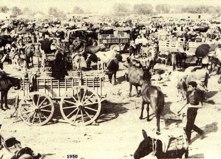 Δήμος Πύργου: Αναβιώνει η Γιορτή του Βάραγκα