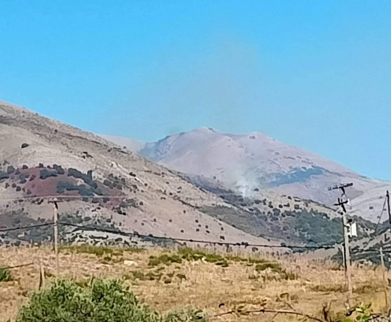 Θεσπρωτία: Φωτιά στη Βάναρη Φιλιατών