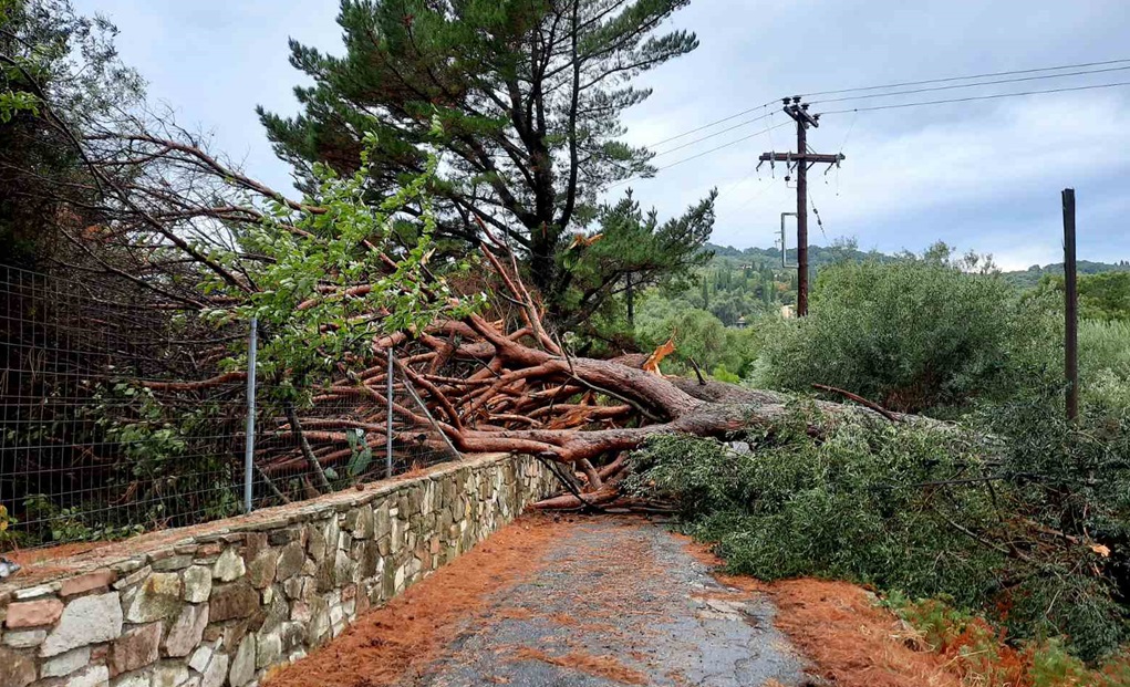 Δεκάδες κλήσεις στην Πυροσβεστική εξαιτίας των ισχυρών ανέμων σε όλη τη χώρα