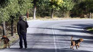 Κως: Επ’ αυτοφώρω σύλληψη για παράνομο κυνήγι λαγού – Να απαγορευθεί η θήρα ζητούν κάτοικοι