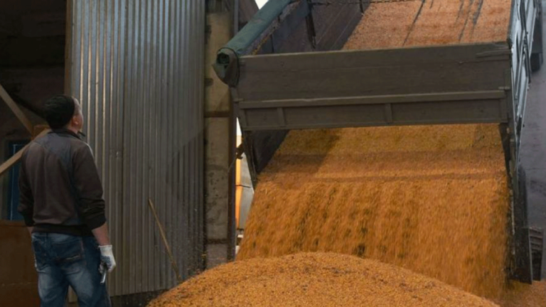 Ανησυχίες για την παράταση της συμφωνίας για τα σιτηρά της Ουκρανίας – Έχουν εξαχθεί σχεδόν 9 εκατ. τόνοι δημητριακών