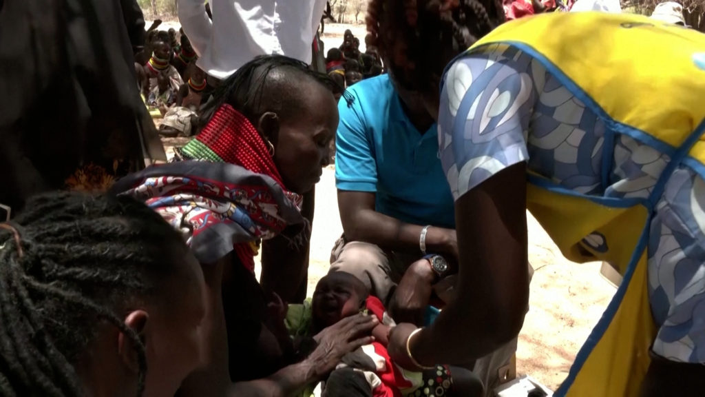 Κένυα: Η ξηρασία αποδεκατίζει τα κοπάδια των κτηνοτρόφων εντείνοντας την κρίση πείνας (video)