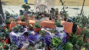 Φθινοπωρινή οικογιορτή Βόλου στην Αγ. Κωνσταντίνο