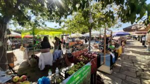 Φθινοπωρινή οικογιορτή Βόλου στην Αγ. Κωνσταντίνο