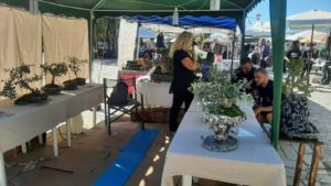 Φθινοπωρινή οικογιορτή Βόλου στην Αγ. Κωνσταντίνο