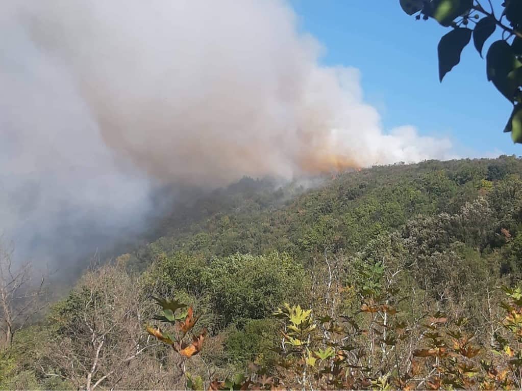 Αιτωλοακαρνανία : Φωτιά  ξέσπασε στη Νέα Μαλεσιάδα