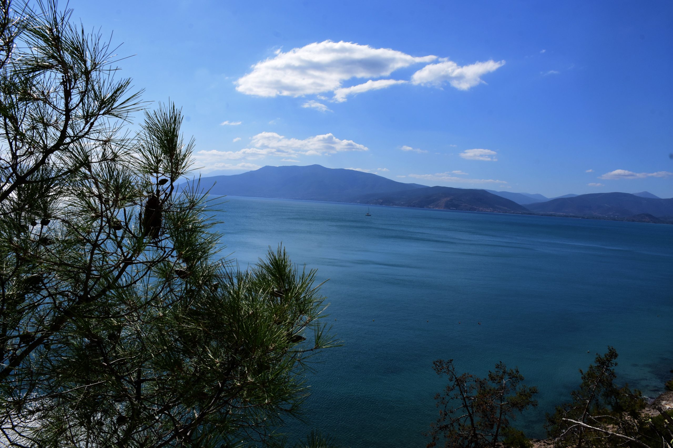 Ο καιρός με την Ν. Ζιακοπούλου: Με ήλιο και υψηλές θερμοκρασίες οι επόμενες ημέρες – Πιθανότατα βροχερό το Σαββατοκύριακο