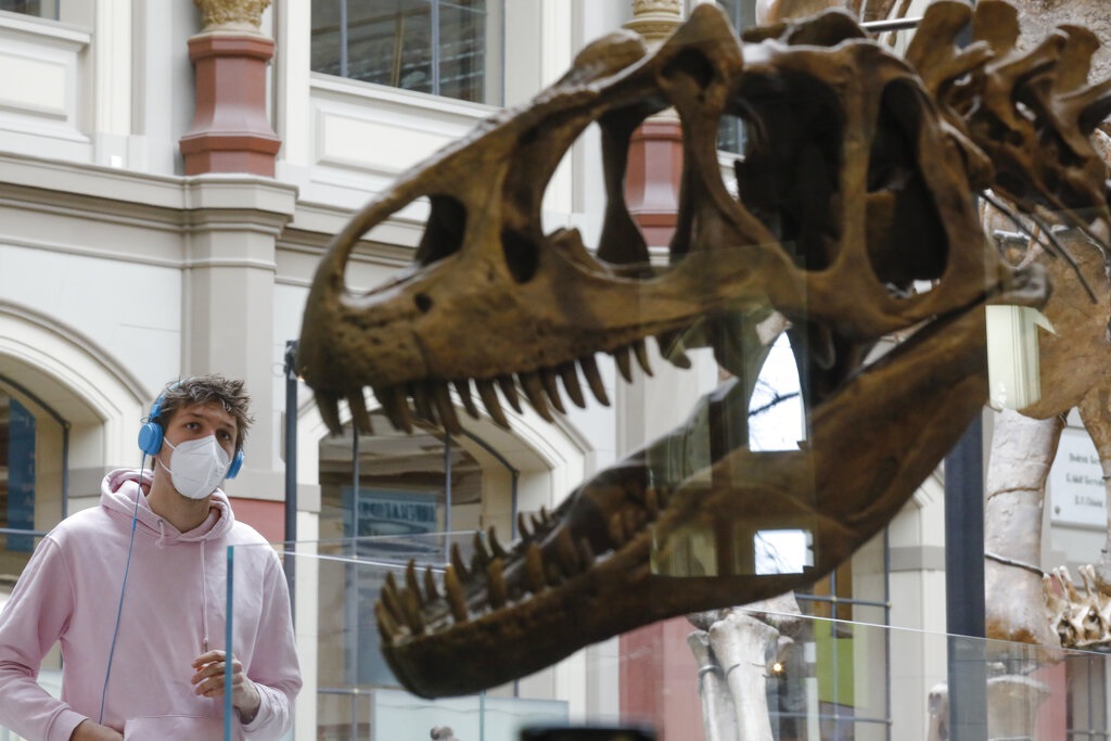 Διαμαρτυρία ακτιβιστών για το κλίμα σε έκθεση δεινοσαύρων στο Μουσείο Φυσικής Ιστορίας του Βερολίνου