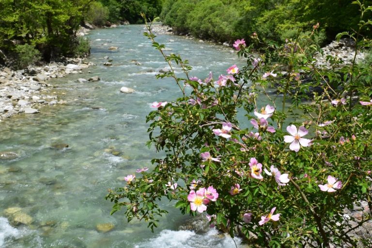 Τρίκαλα: Νεκρός εντοπίστηκε 69χρονος στις όχθες του Ασπροποτάμου