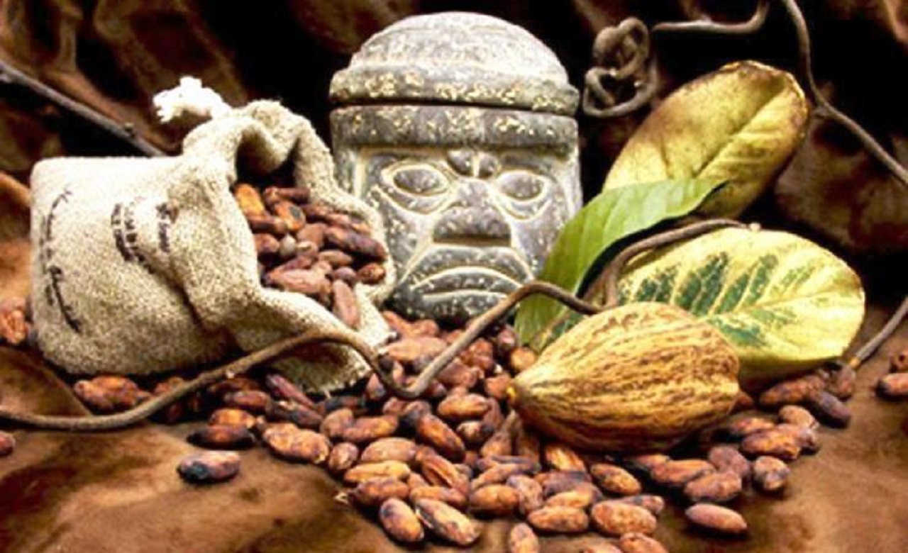 Cocoa Majias Civilazation