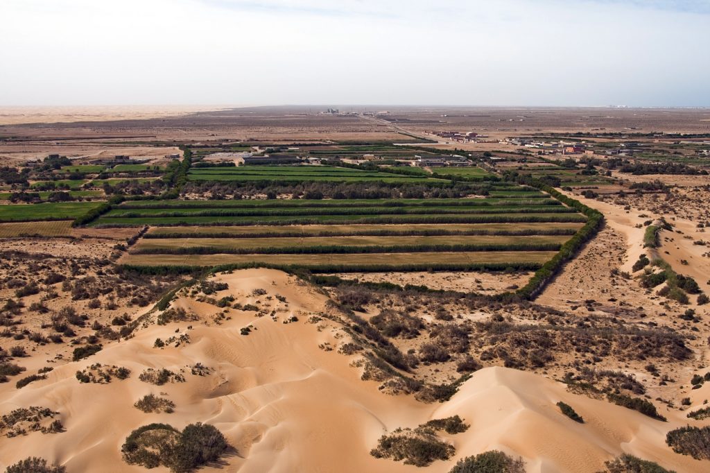 Μαρόκο: Αρχαιολογικός χώρος μετατρέπεται σε φάρμα για καρπούζια-Κατακραυγή για την καταστροφή του