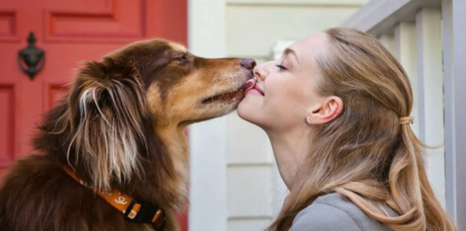 Γιατί δεν πρέπει να φιλάμε το σκύλο μας στο στόμα