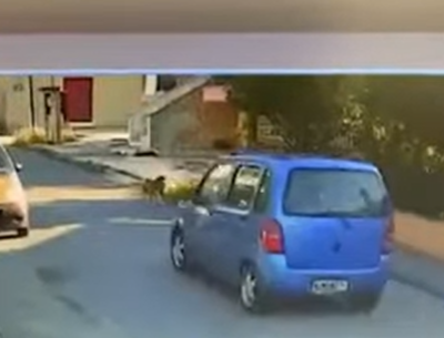 Ταυτοποιήθηκε 58χρονη οδηγός που παρέσυρε και εγκατέλειψε σκύλο στη Γέφυρα Θεσσαλονίκης (video)