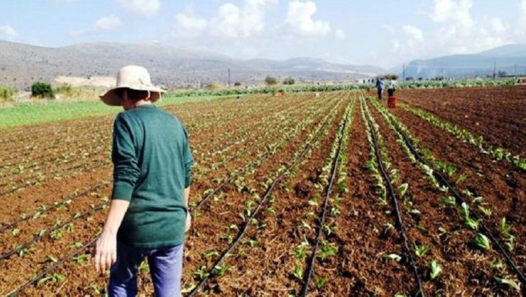 Καταβολή ενισχύσεων στους εν δυνάμει νέους αγρότες