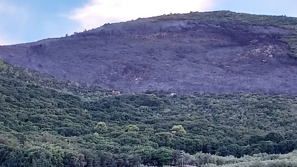 Ζάκυνθος: Οριοθετήθηκε η πυρκαγιά στην περιοχή Γαλάρο (βίντεο)