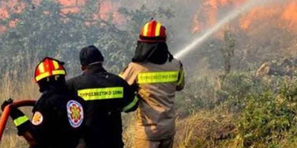 Ηράκλειο: Στις φλόγες και πάλι το δάσος της Κέρης – Επί ποδός η Πυροσβεστική