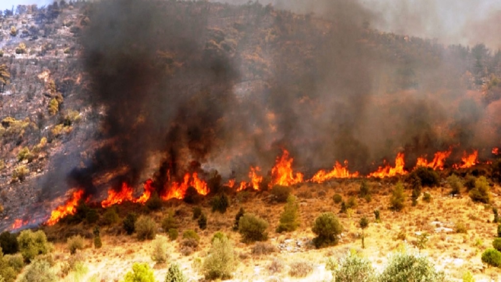 Πυρκαγιά σε δασική έκταση στο Μεγαλοβούνι Κορινθίας