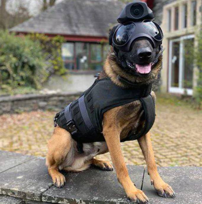 Αστυνομικός σκύλος για πρώτη φορά με κάμερα σώματος