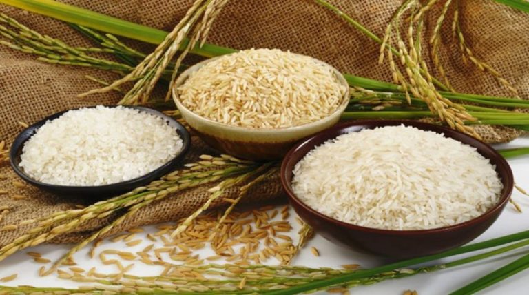 Προβατάς Σερρών: 22η Γιορτή Ρυζιού