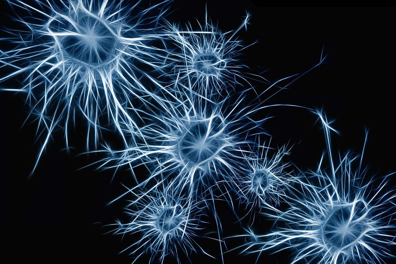 Έρευνα: Οι ανοσολογικές αντιδράσεις στη σοβαρή Covid-19 μπορεί να πυροδοτήσουν νευρολογικά προβλήματα στον εγκέφαλο