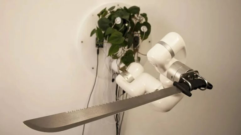 Φυτό εσωτερικού χώρου ελέγχει ένα μαχαίρι με τη βοήθεια ρομποτικού βραχίονα