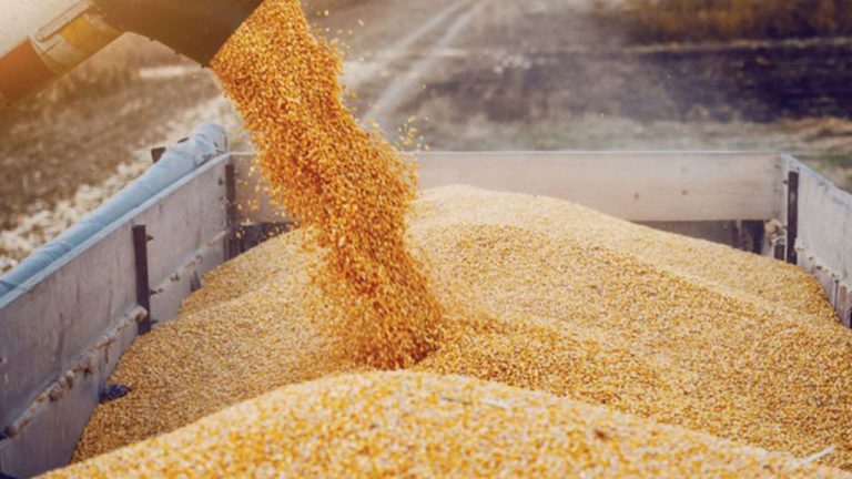 Ζ. Μπορέλ: Η ΕΕ προτρέπει τη Ρωσία να ανακαλέσει την απόφασή της για τη συμφωνία με τα σιτηρά