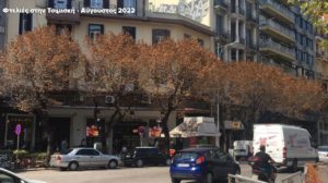 Θεσσαλονίκη: Κάλεσμα για την προστασία των φτελιών του κέντρου από την οργάνωση “Μαμαγαία”