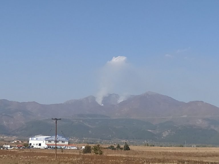 Συνεχίζεται για 6η ημέρα η πυρκαγιά στο Παπίκιο όρος