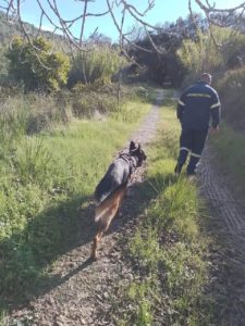 Κέρκυρα: Σκύλος της ΕΜΑΚ από την Πάτρα στις έρευνες για τον 82χρονο