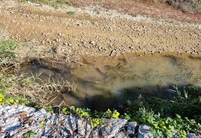 Περιβαλλοντική καταστροφή στο Λούρο – Φταίει η λειψυδρία λέει η Περιφέρεια