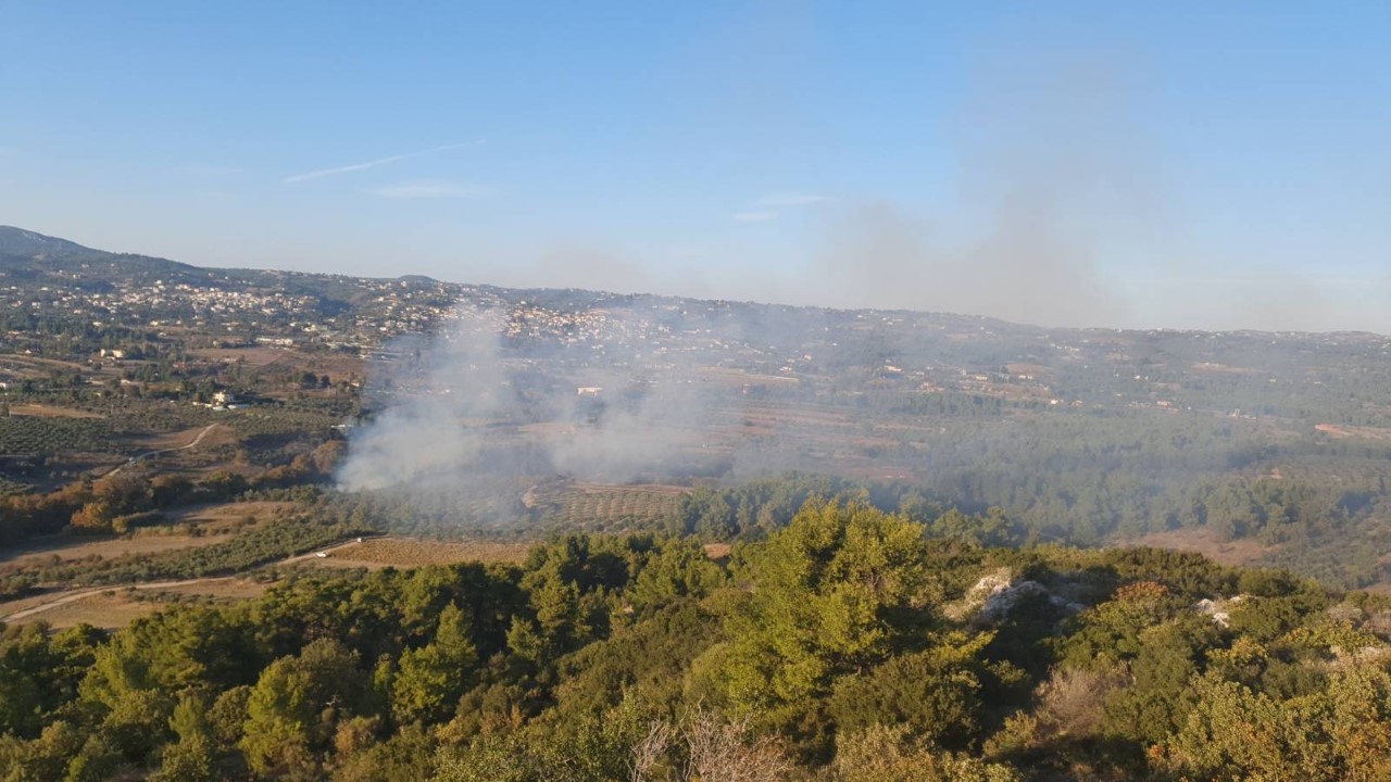 Πυρκαγιά σε δασική έκταση στον Πλατανιστό Καρύστου Εύβοιας – Τρεις οι εστίες