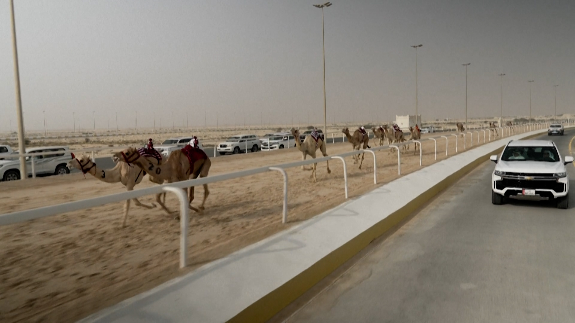 Κατάρ: Αγώνες με καμήλες και αναβάτες-ρομπότ δέλεαρ για το κοινό του Μουντιάλ (video)