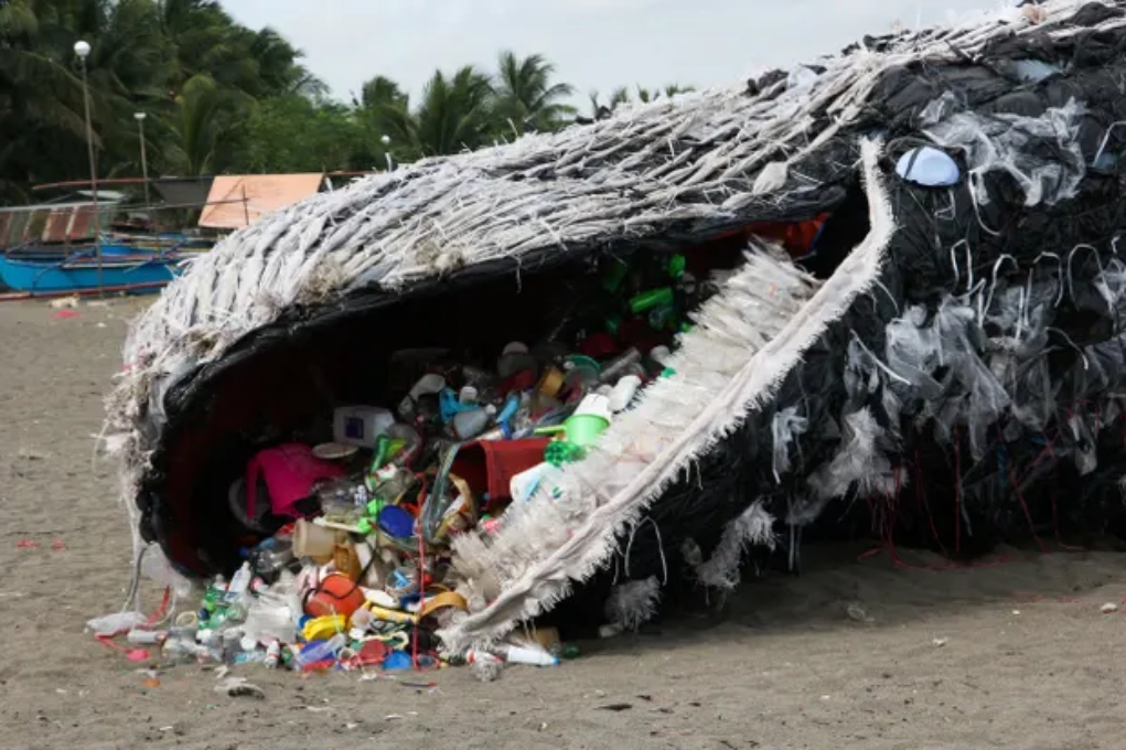 Οι φάλαινες καταπίνουν εκατομμύρια μικροπλαστικά απόβλητα την ημέρα, διαπιστώνει νέα μελέτη