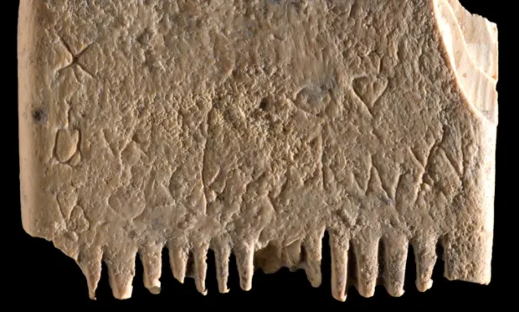 Ανακαλύφθηκε η αρχαιότερη πρόταση γραμμένη σε μια χτένα για ψείρες