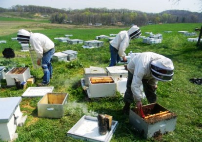 Μελισσοκομεία – Ένας θησαυρός της Πέλλας που κινδυνεύει