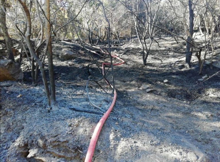 Εμπρησμό δείχνουν τα στοιχεία της φωτιάς στον Καριώνα της Λέσβου