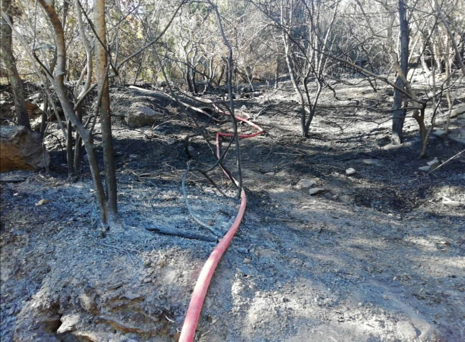 Εμπρησμό δείχνουν τα στοιχεία της φωτιάς στον Καριώνα της Λέσβου