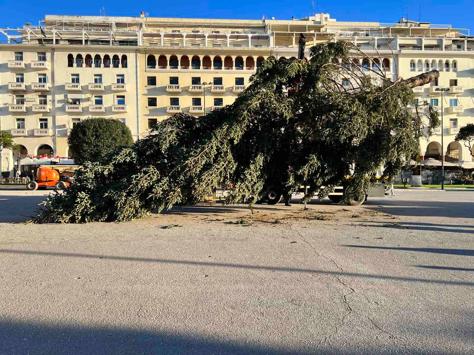 Θεσσαλονίκη: Έφτασε στην Αριστοτέλους το δέντρο που θα στολιστεί για τα Χριστούγεννα
