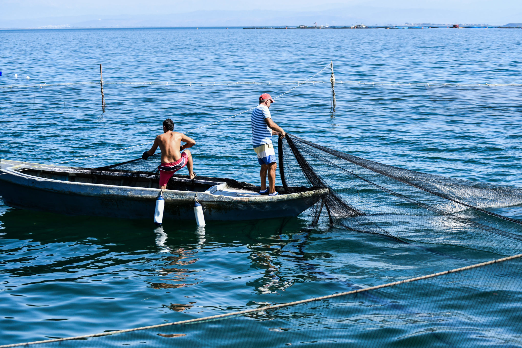 Οικονομική ενίσχυση του κλάδου αλιείας για την αντιμετώπιση της ενεργειακής κρίσης