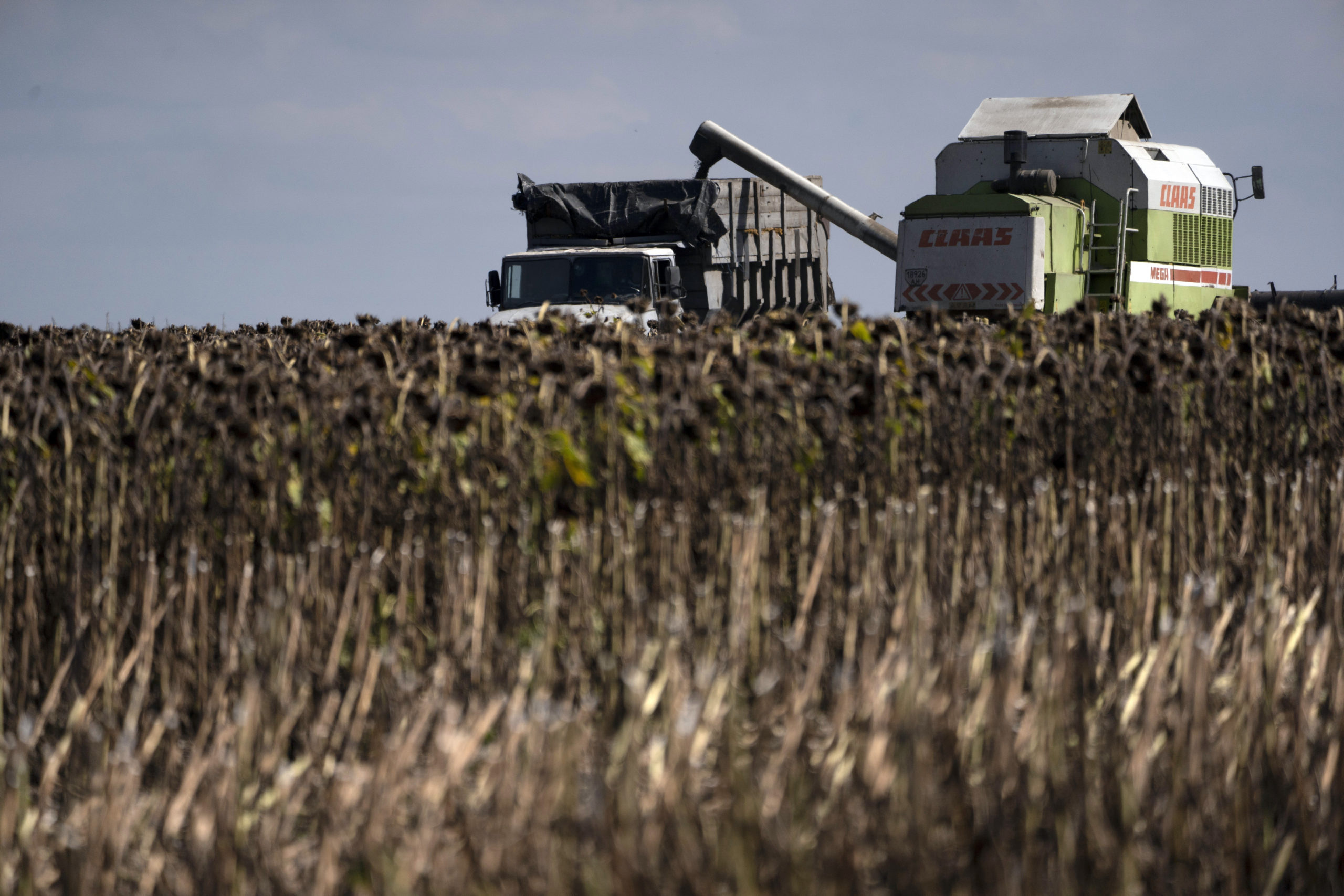 Ρωσία: Επιμένει στις απαιτήσεις για ελεύθερη πρόσβαση ρωσικών εξαγωγών σιτηρών – λιπασμάτων στις παγκόσμιες αγορές