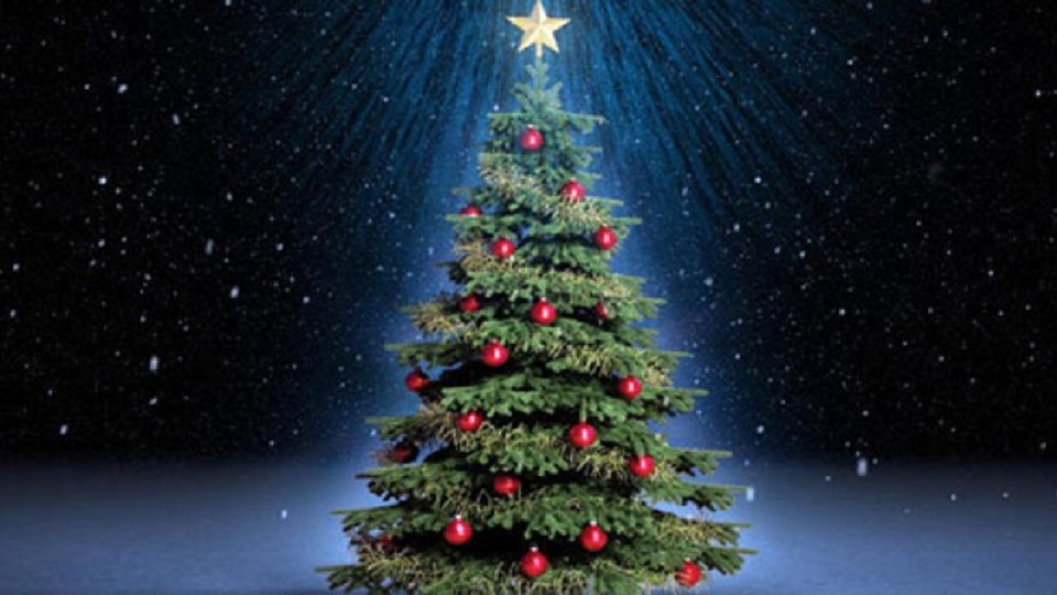 Δήμος Ρ. Φεραίου: Έναρξη χριστουγεννιάτικων εκδηλώσεων στις 3 Δεκεμβρίου